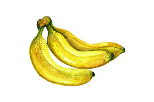 Bunch of Bananas - Watercolor Style for Commercial Food Amp Designs