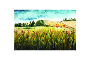 Corn Field - Watercolor Style: A Farm Amp Asset That Adds Warmth to Your Brand