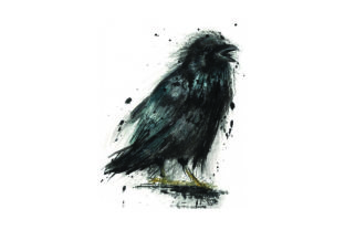 Crow Watercolor – A Versatile Graphic Design Asset for Animal Lovers