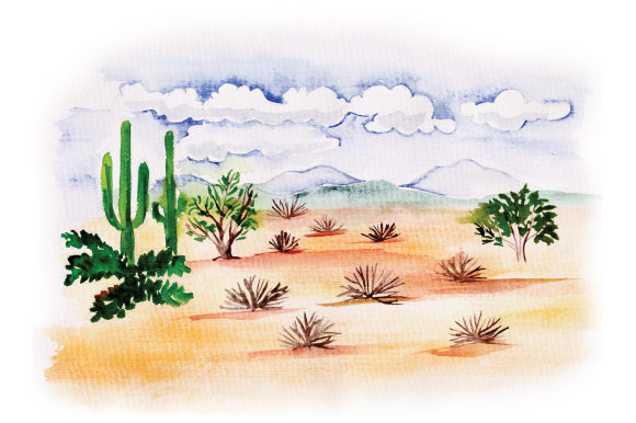 Desert Scene in Watercolor for Nature Amp