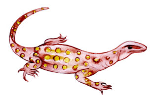 Goanna in Watercolor Style: A Unique Design Asset for Australian Branding