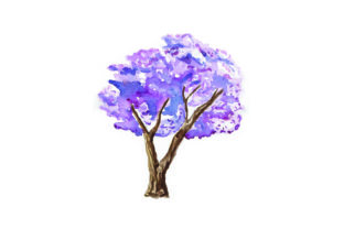 Jacaranda Tree - Watercolor for Australian Small Business Branding