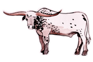 Long Horn Bull in Watercolor: A Versatile Animal Graphic Design Asset for Content Creators