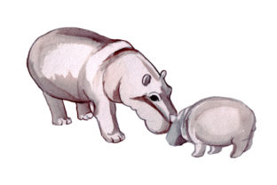 Mom and Baby Hippos in Watercolor Style – A Versatile Animal Graphic Design Asset