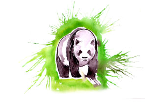 Panda in Paint Splatter Watercolor Style Review for Real Projects