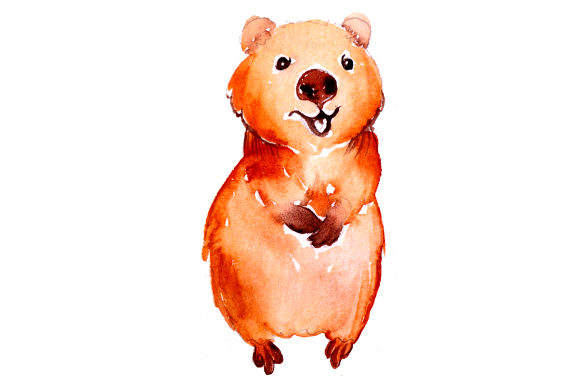 Quokka in Watercolor Style: A Delightful Design for Australian Small Business Branding