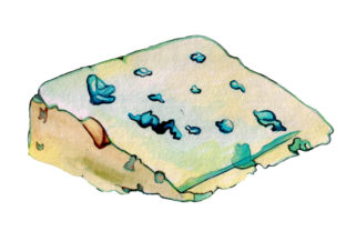 Roquefort Cheese in Watercolor Style: A Visual Asset for Food Amp Content Creators