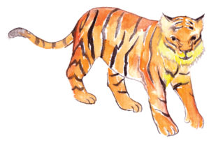 Tiger in Watercolor: A Versatile Animal Graphic for Handmade Creations
