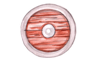 Viking Shield in Watercolor Style Review for Real Projects