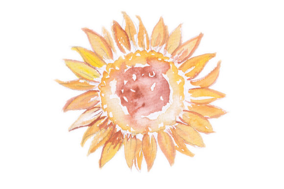 Watercolor Design Sunflower for Small Business Branding and Packaging