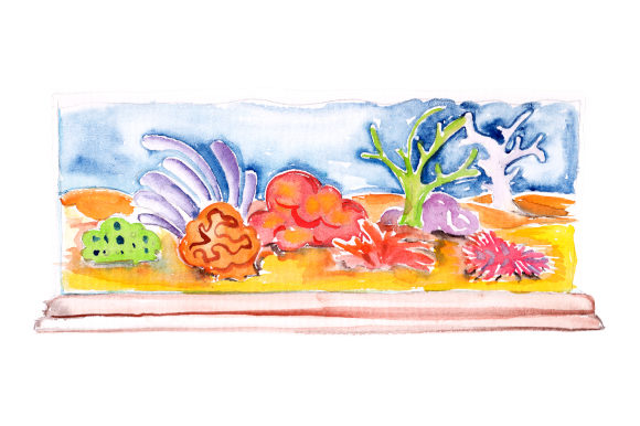 Watercolor Fish Tank with Reef Decoration: A Versatile Design Asset for Modern Branding
