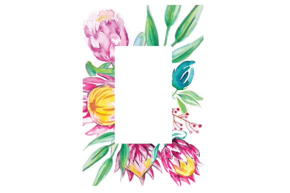 Watercolor Proteas Frame for Australian Branding Projects