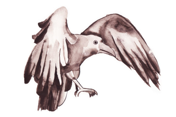 Watercolor Raven Flying: A Versatile Design Asset for Animal-Themed Projects