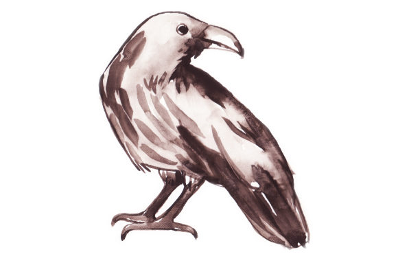 Watercolor Raven Standing Review: A Moody, Timeless Embroidery Design