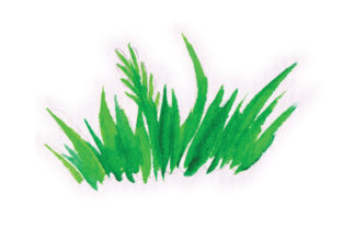 Watercolour Grass Patch for Spring Branding and Visual Campaigns