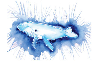 Whale in Paint Splatter Watercolor Style and Animals
