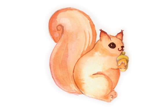 Woodland Animal Watercolor Squirrel for Crafting